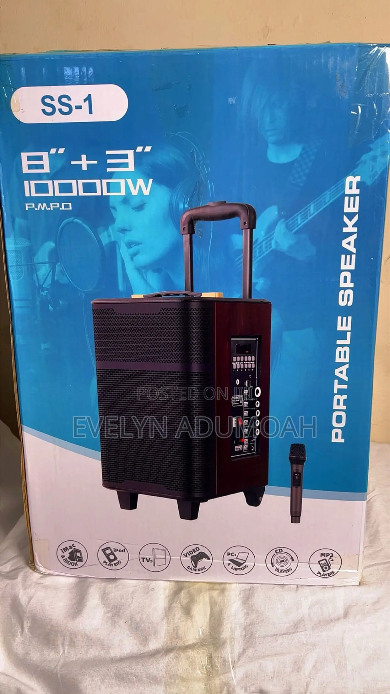 1000W Portable Speaker With Wireless Microphone – SS-1