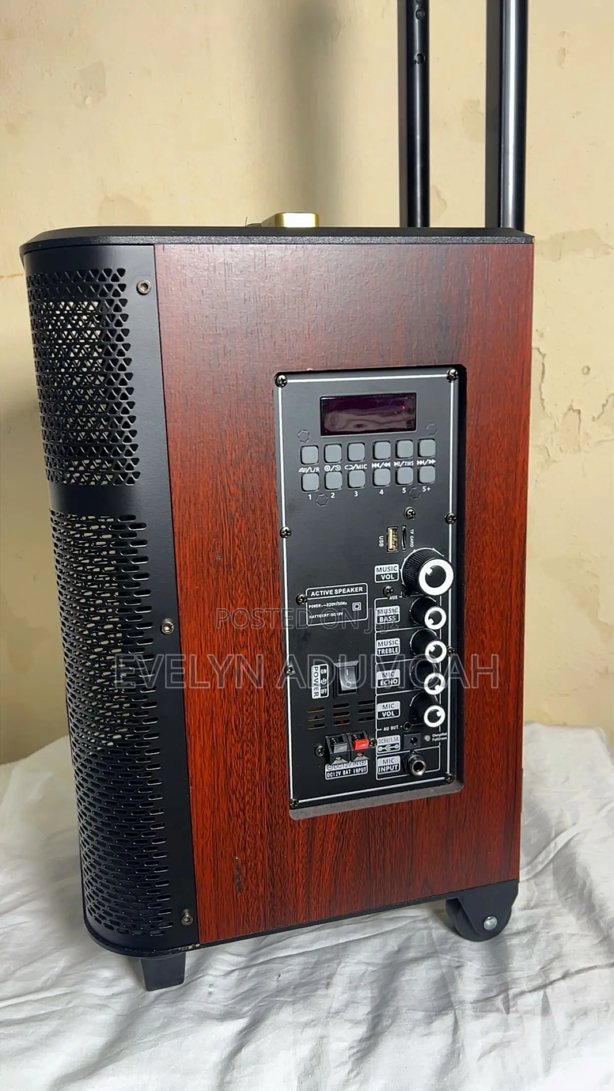 1000W Portable Speaker With Wireless Microphone – SS-1