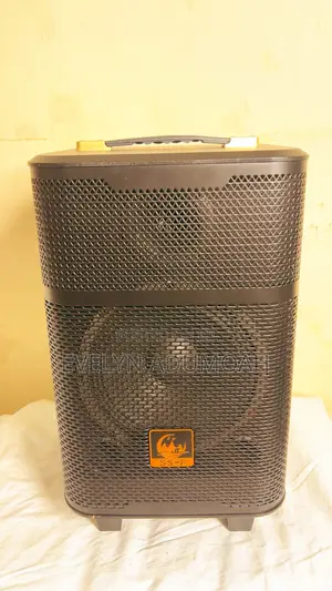 1000W Portable Speaker With Wireless Microphone – SS-1