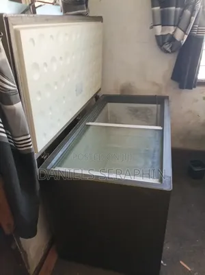 Nasco Deep Freezer