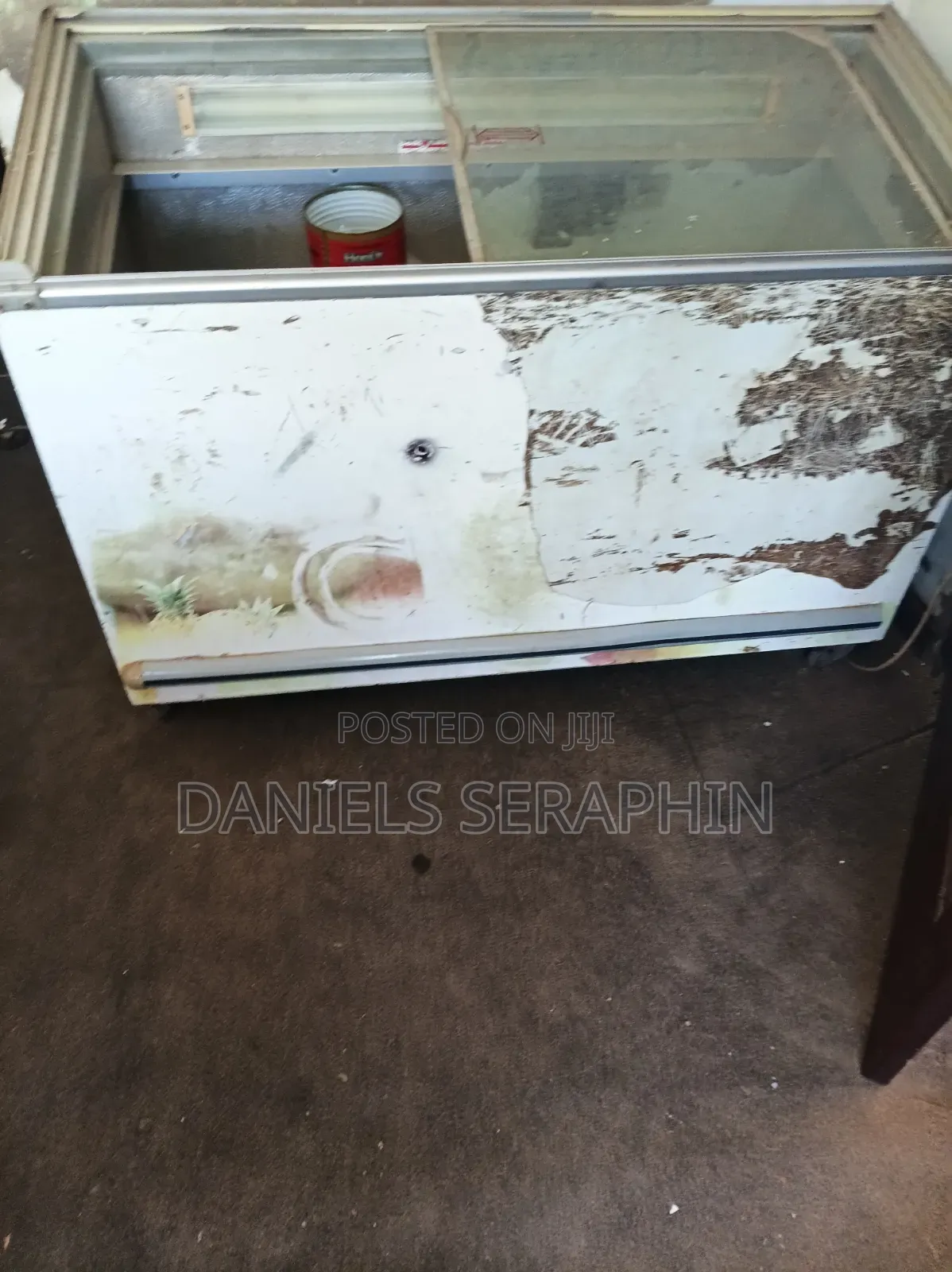 Ice Cream Freezer