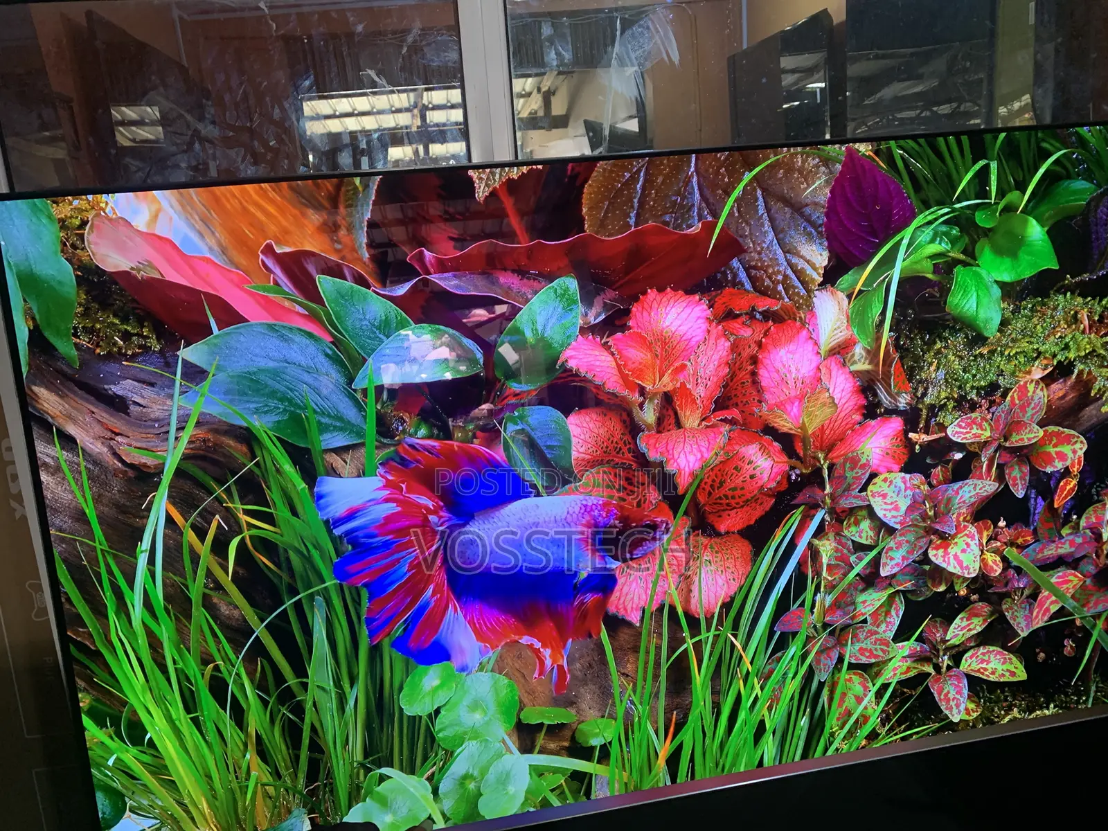 77" Samsung S90d 4k Smart Oled TV⁠