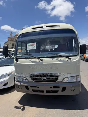 Hyundai County 2015 Beige