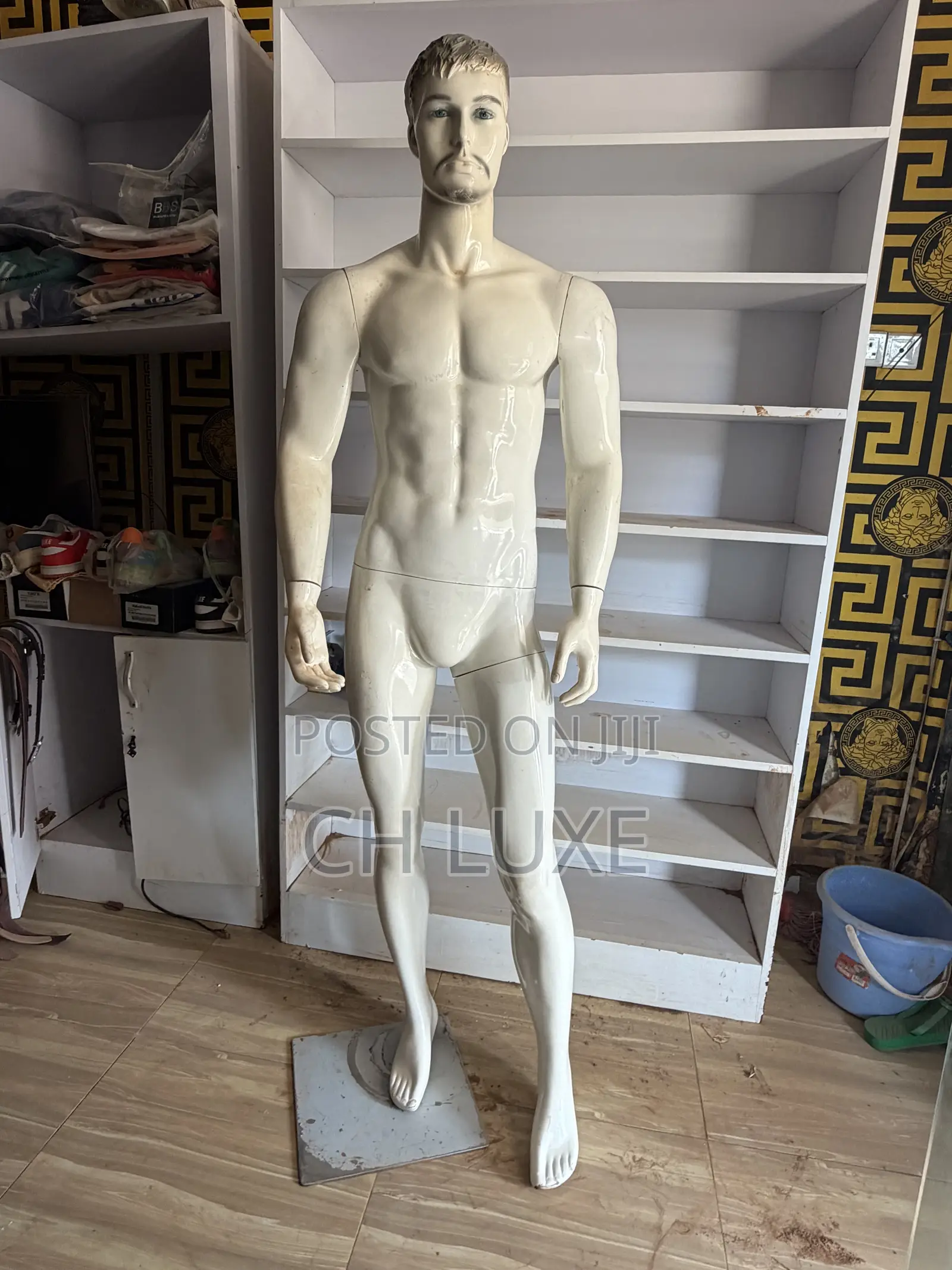 Male Mannequin