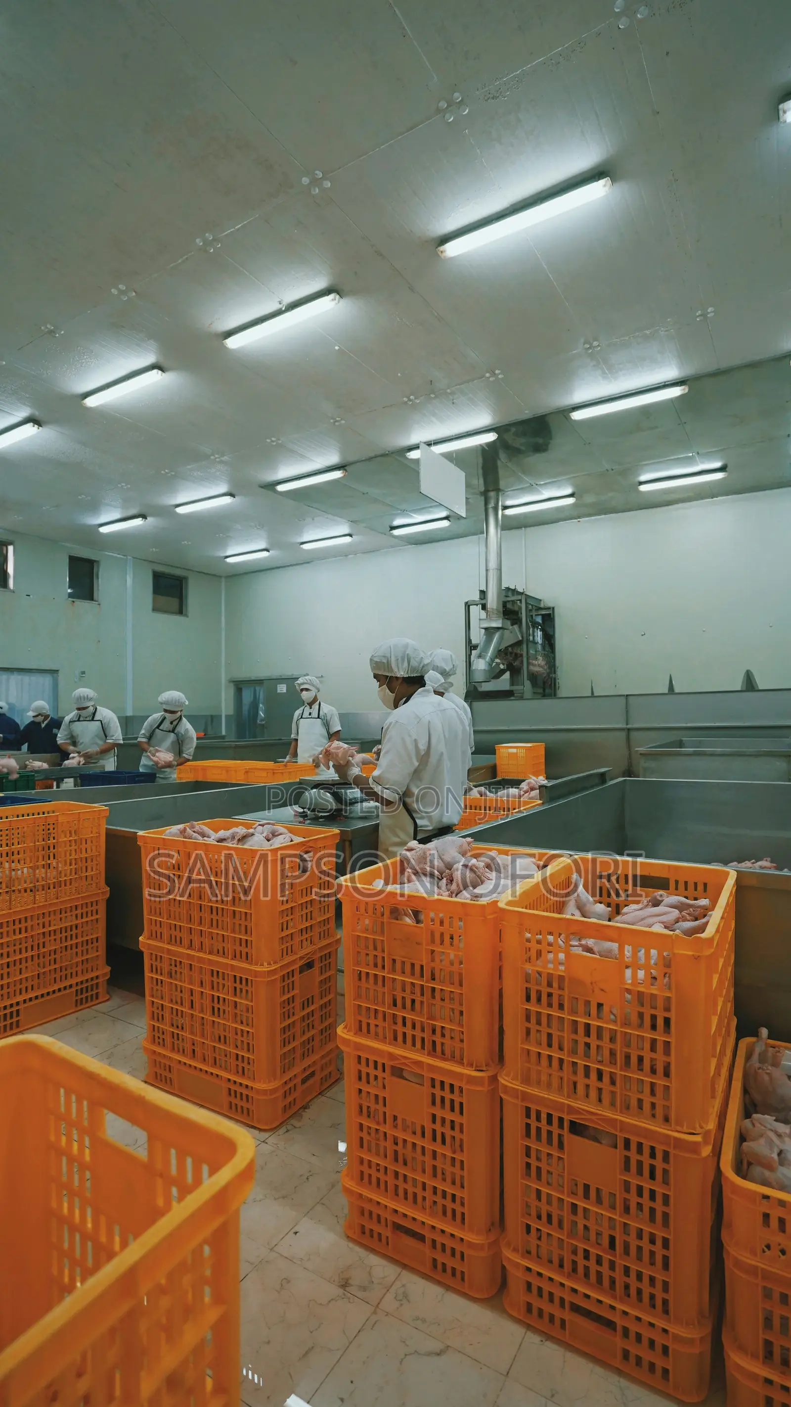 Factory Workers Job in Turkey
