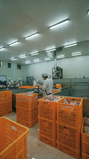 Factory Workers Job in Turkey