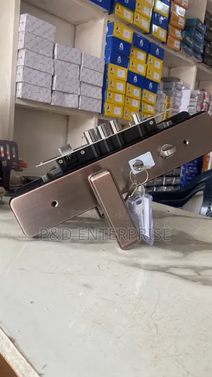 High Quality Chinese Door Locks