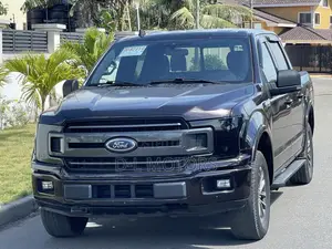 Ford F-150 XL 4x4 Regular Cab Styleside 8 ft. box 141 in. WB 2019 Brown