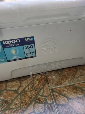 Igloo Cooler