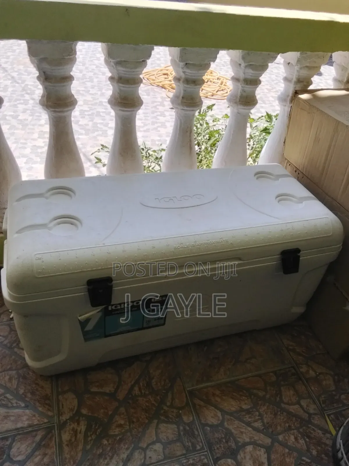 Igloo Cooler