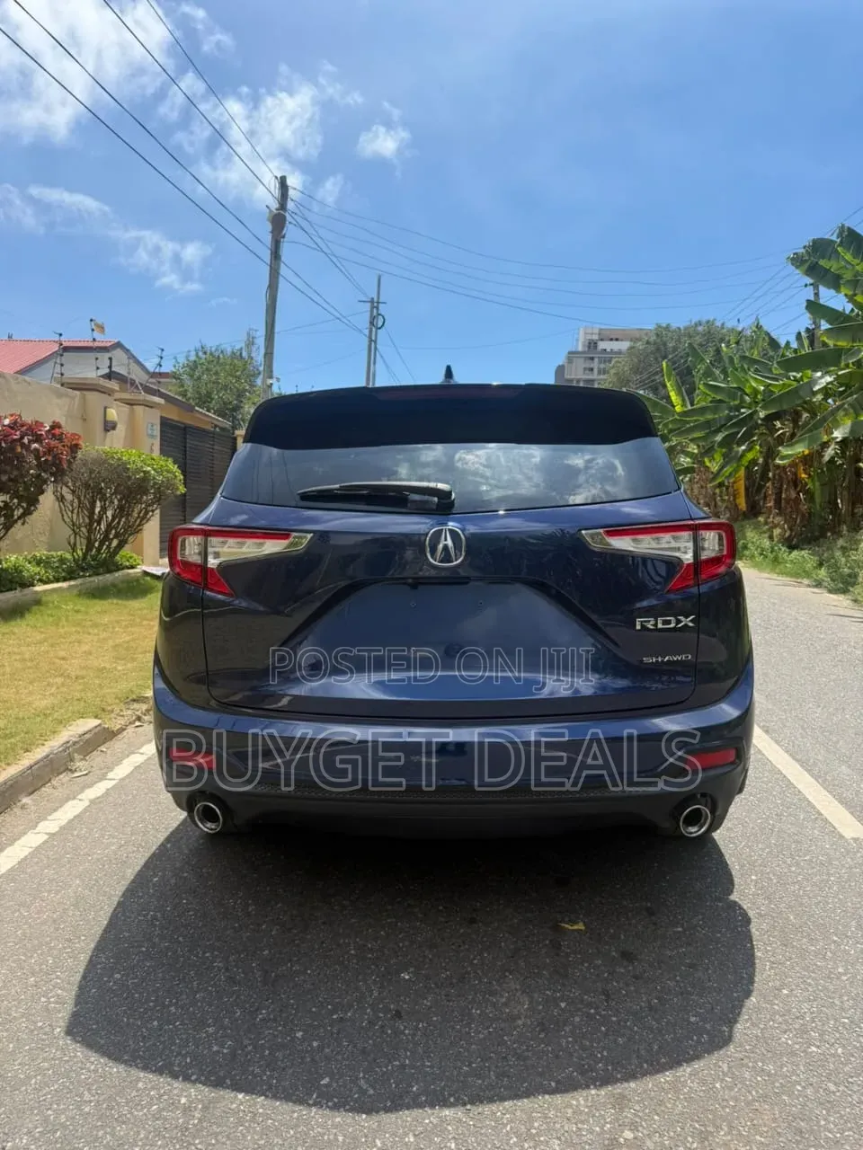 Acura RDX Advance Pkg AWD 2019 Blue