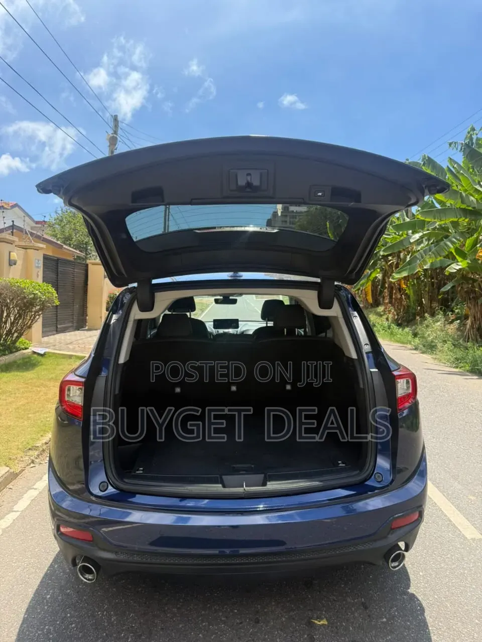 Acura RDX Advance Pkg AWD 2019 Blue