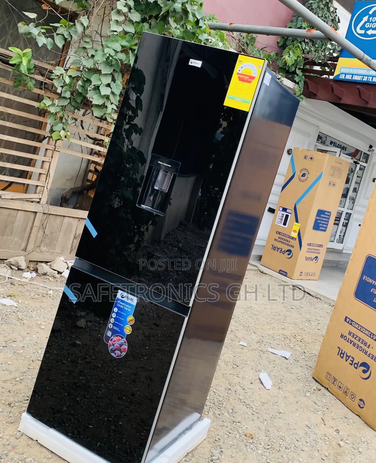 Experience (Black) 309L Pearl 2 Doors Bottom Mounts Fridge