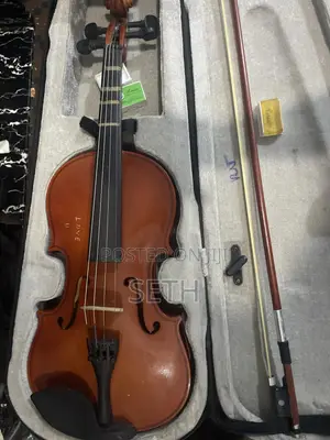 Nice Violin With Bow and It Erase and Bag