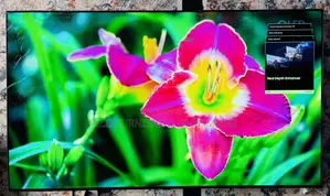 75” Inch Samsung QLED With Active 4k at 120 Hz Smart Satellite HDR Uk TV