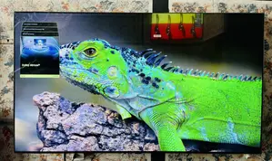 Samsung QLED 75 Inches Vivid Pictures 4k at 120 Hz Gaming TV HDR Uhd TV