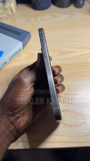 Apple iPhone 15 Pro Max 256 GB Silver