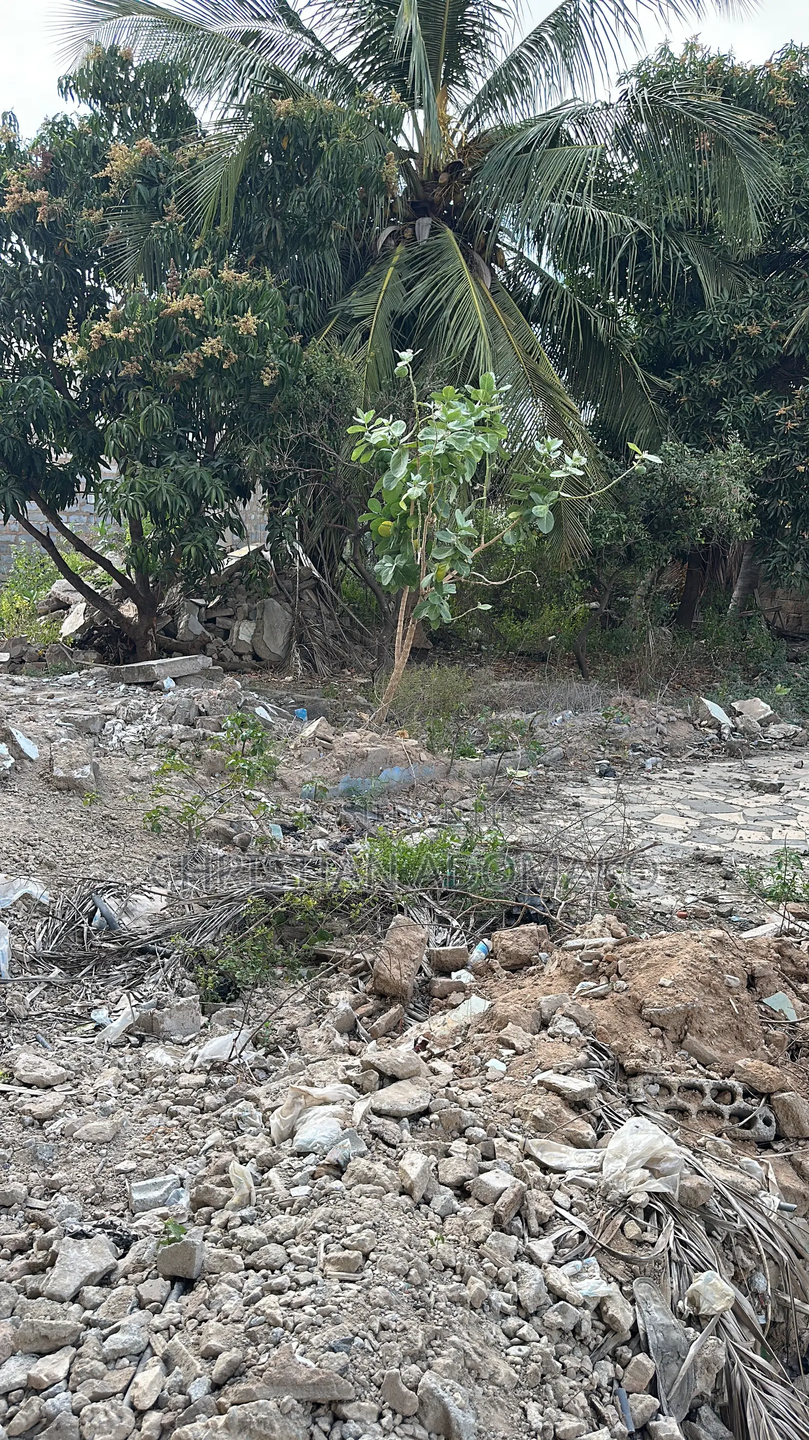Land at Lashibi