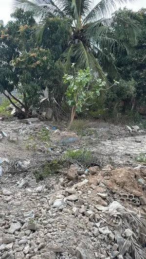 Land at Lashibi
