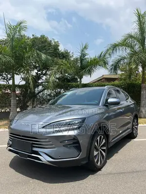 BYD Song Plus DM-i 2024 Silver