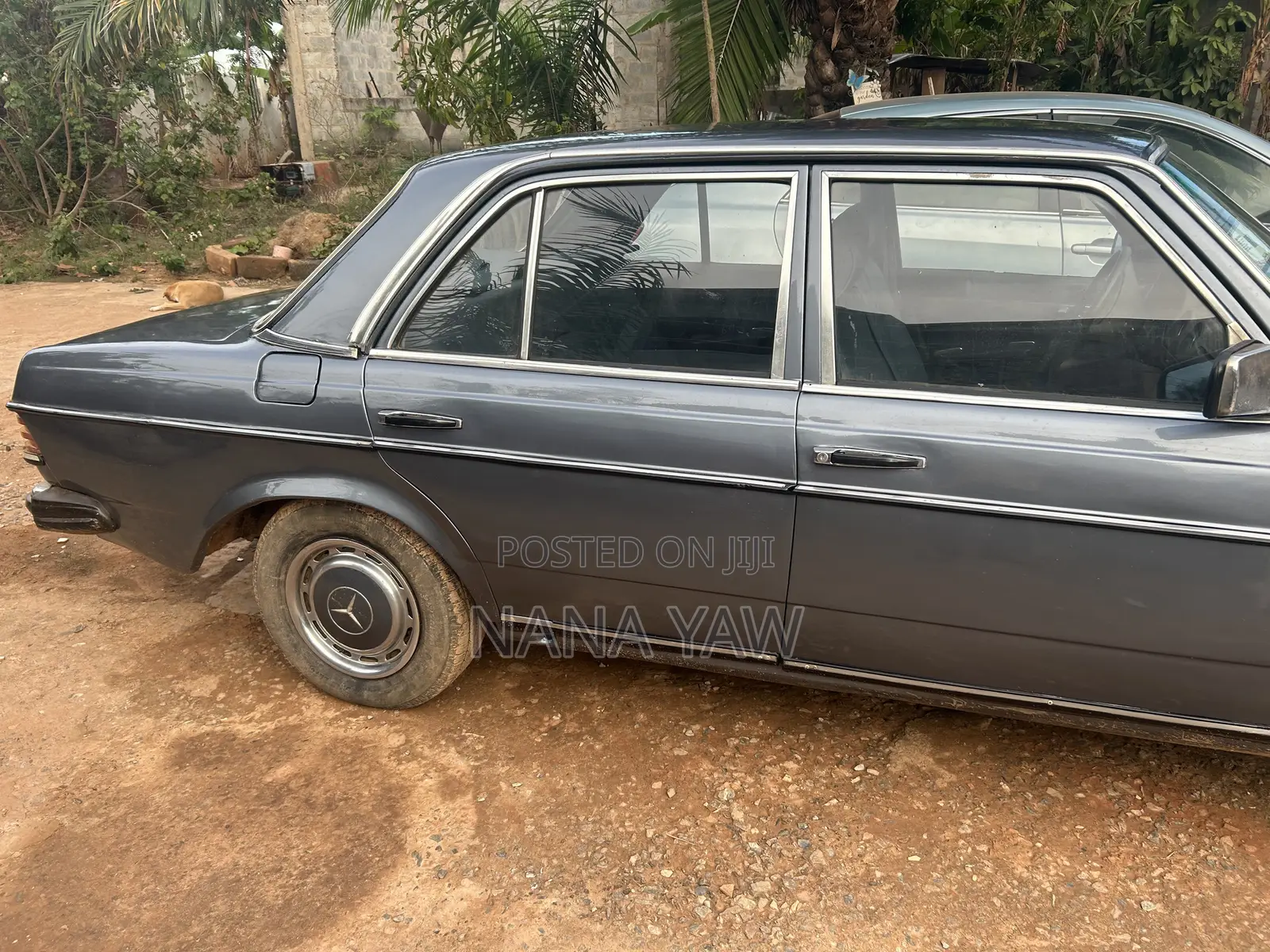 Mercedes-Benz W123 1981 Gray