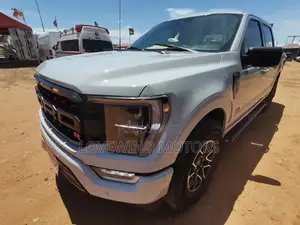 Ford F-150 2023 Gray