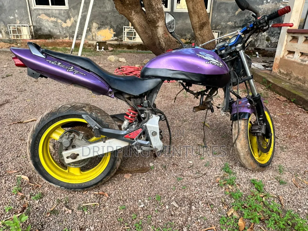 Honda Hornet 2000 Purple