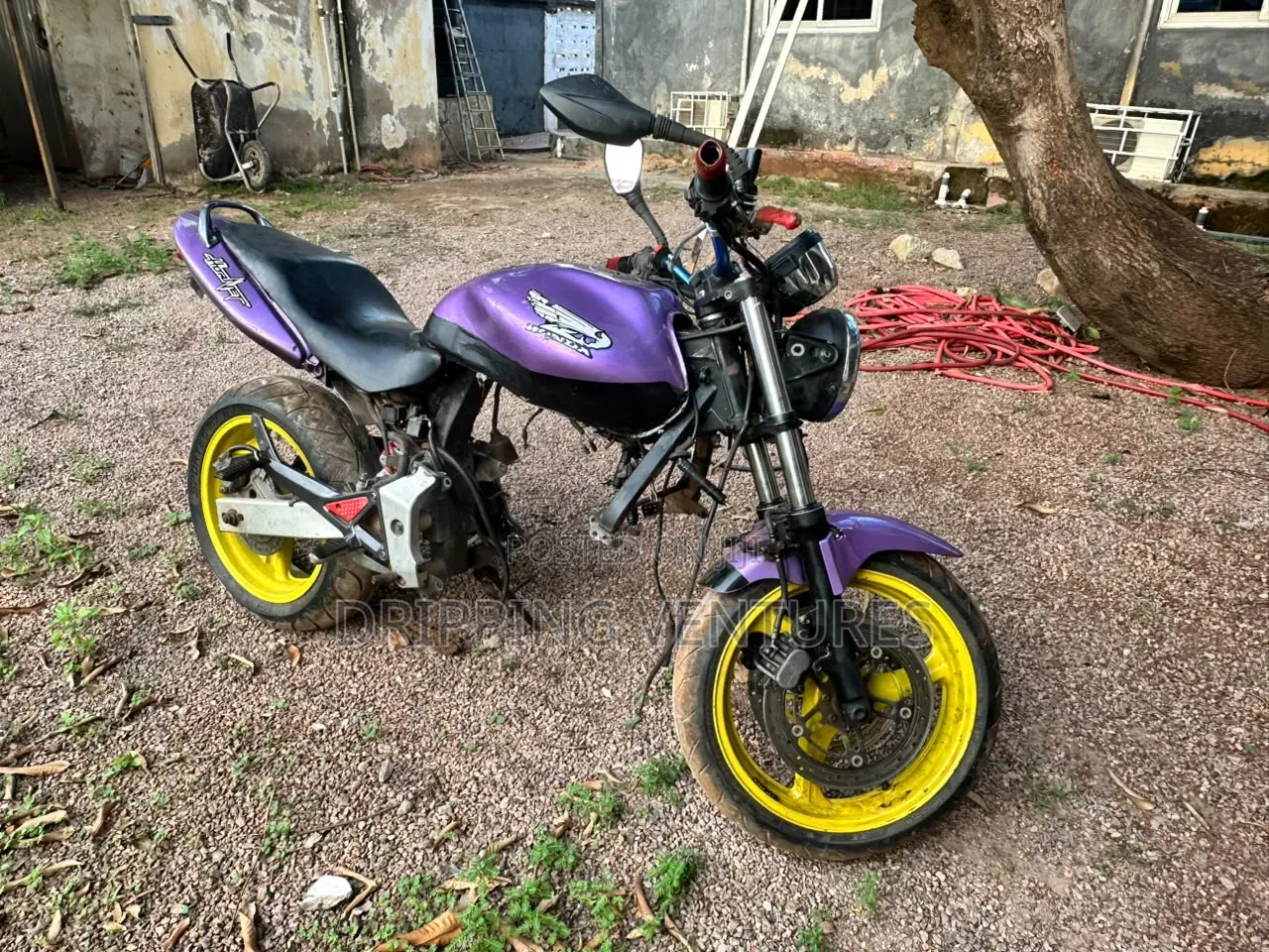 Honda Hornet 2000 Purple