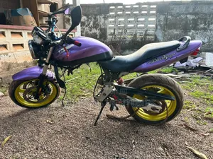 Honda Hornet 2000 Purple