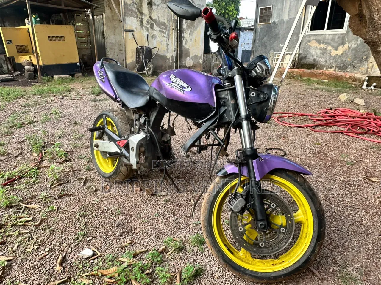 Honda Hornet 2000 Purple