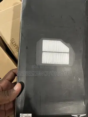 Genesis Gv80 2.5T OEM Engine Air Filter