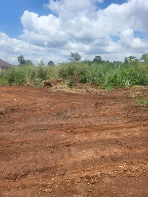 Six Plots of Land for Sale at Trade Mpatasie