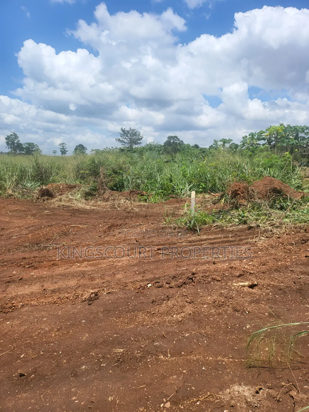 Six Plots of Land for Sale at Trade Mpatasie