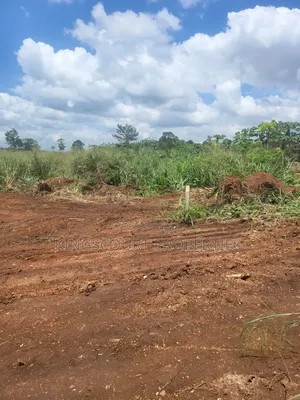 Six Plots of Land for Sale at Trade Mpatasie