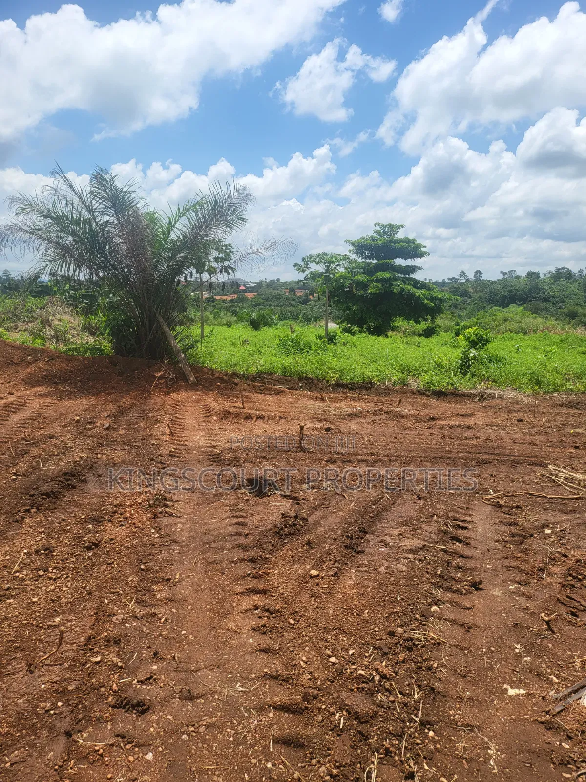 Six Plots of Land for Sale at Trade Mpatasie