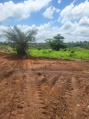 Six Plots of Land for Sale at Trade Mpatasie
