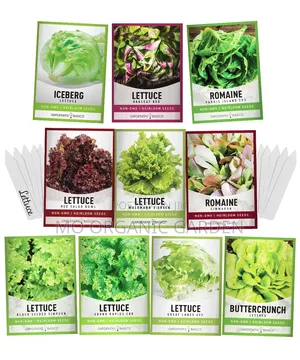 Lettuce Seeds – Different Varieties Available for Planting