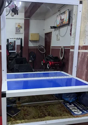 Hairdresser Mirror
