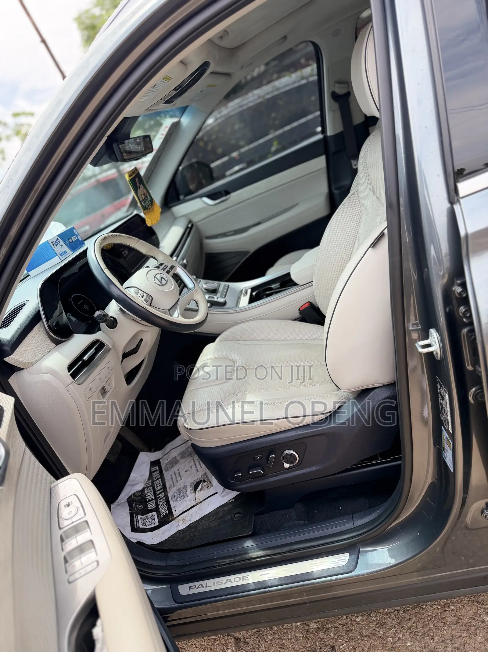 Hyundai Palisade Limited 2023 Green