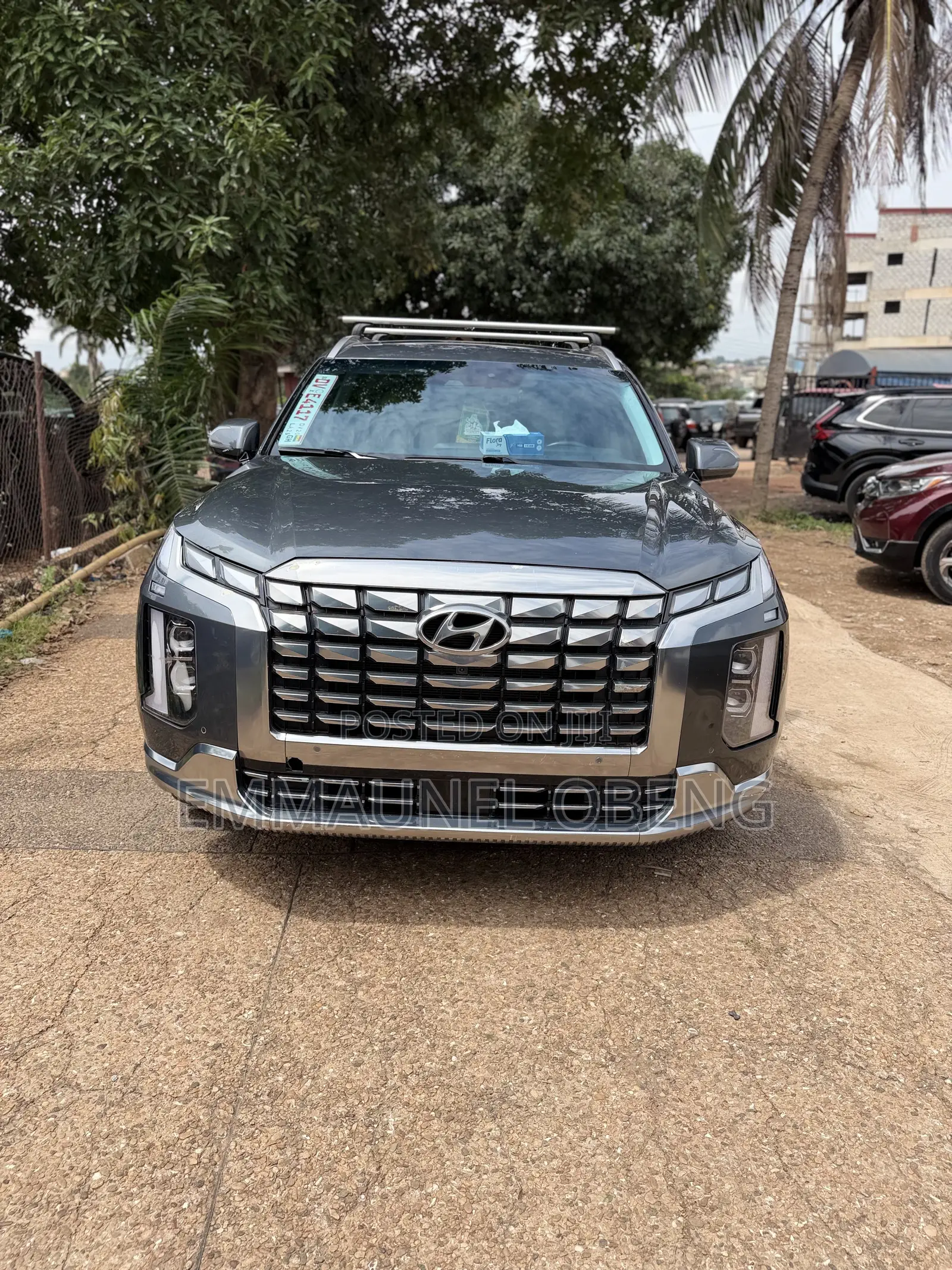 Hyundai Palisade Limited 2023 Green