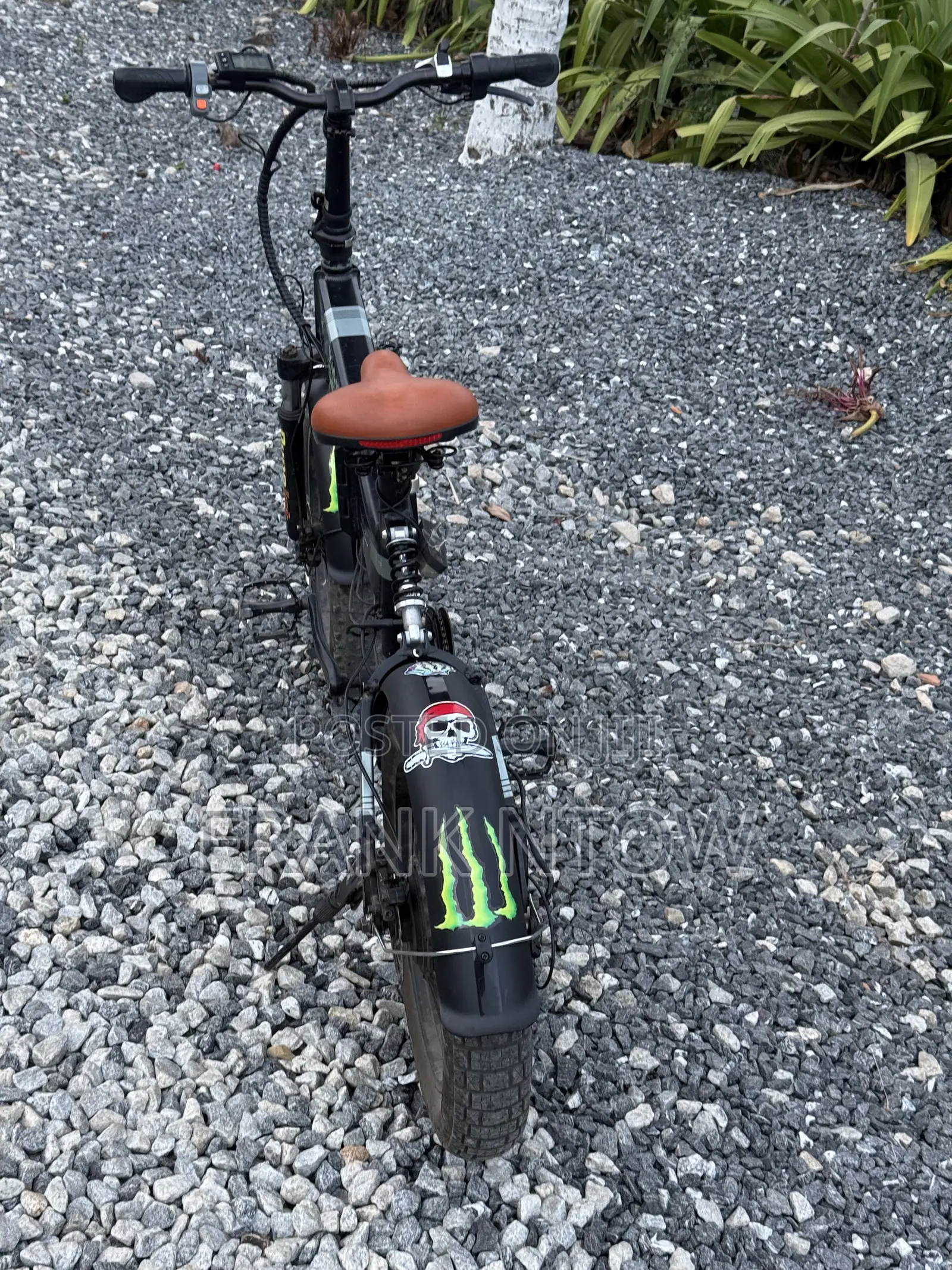 RideStar American Foldable Ebike Going for a Cool Price