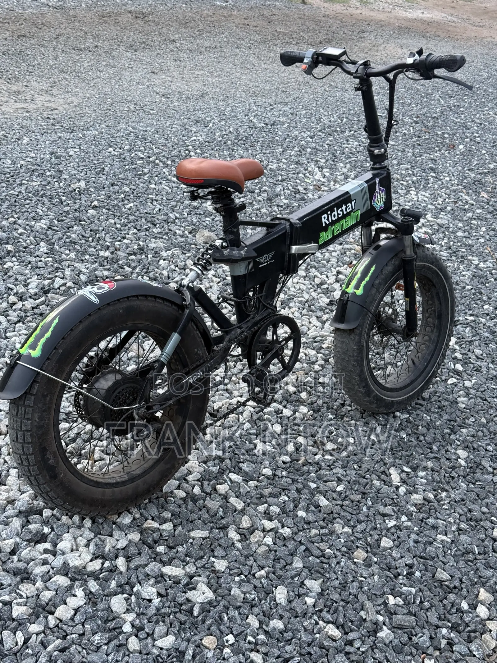 RideStar American Foldable Ebike Going for a Cool Price