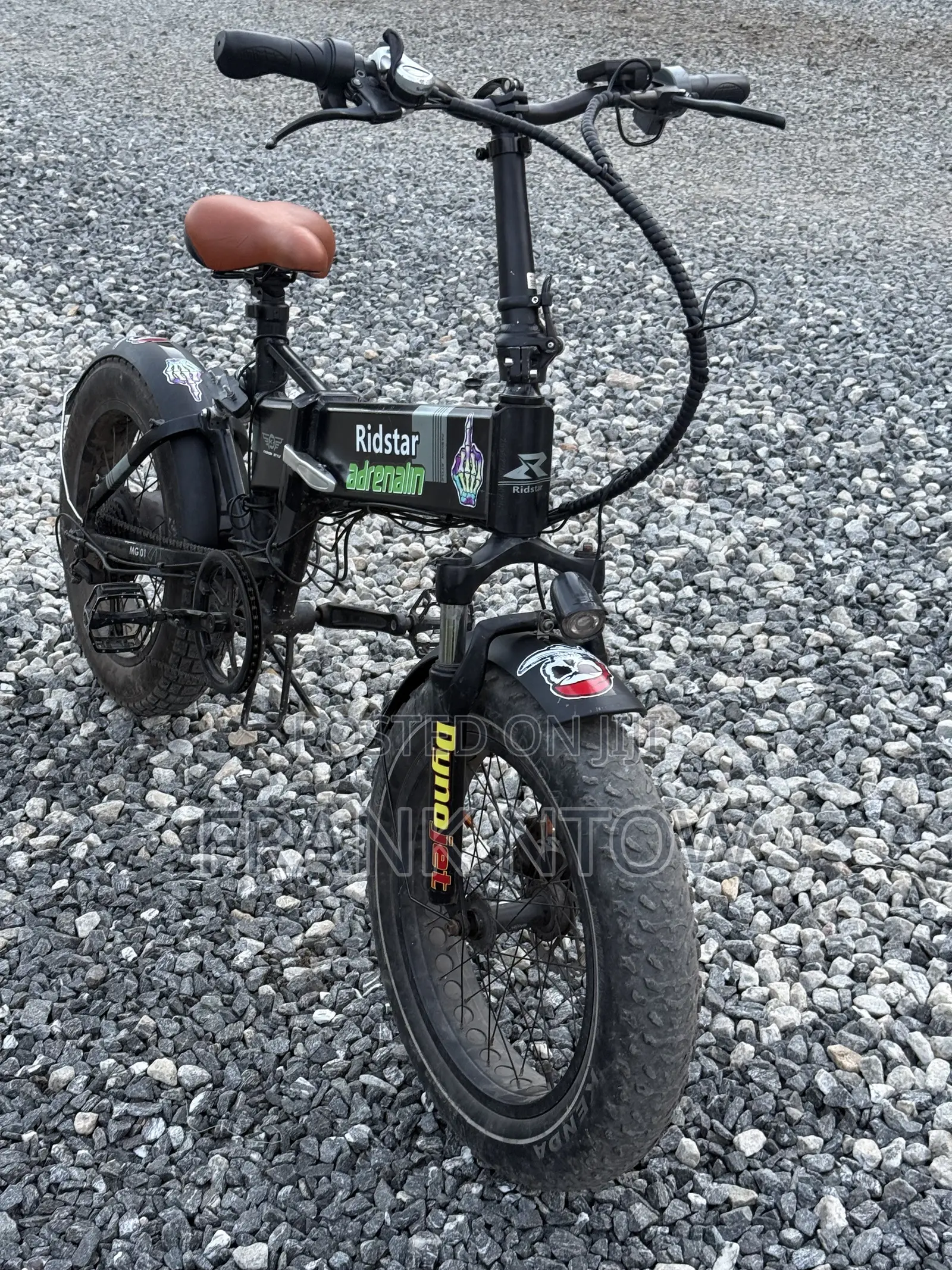 RideStar American Foldable Ebike Going for a Cool Price