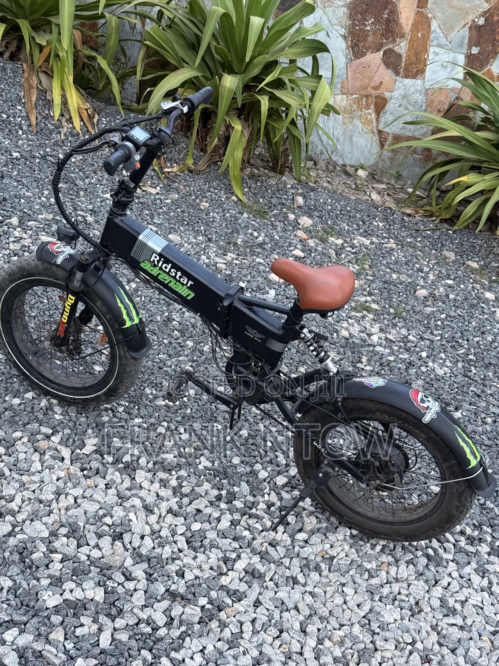 RideStar American Foldable Ebike Going for a Cool Price
