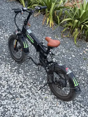RideStar American Foldable Ebike Going for a Cool Price