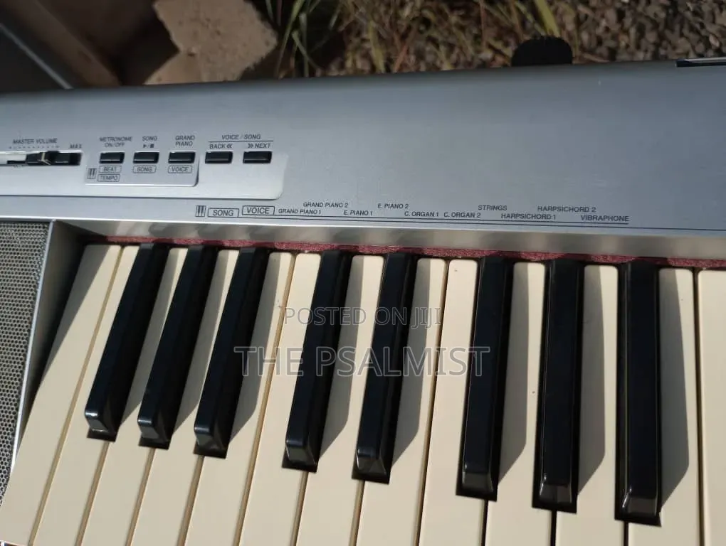 Yamaha Portable Grand NP- 30 With an Adapter