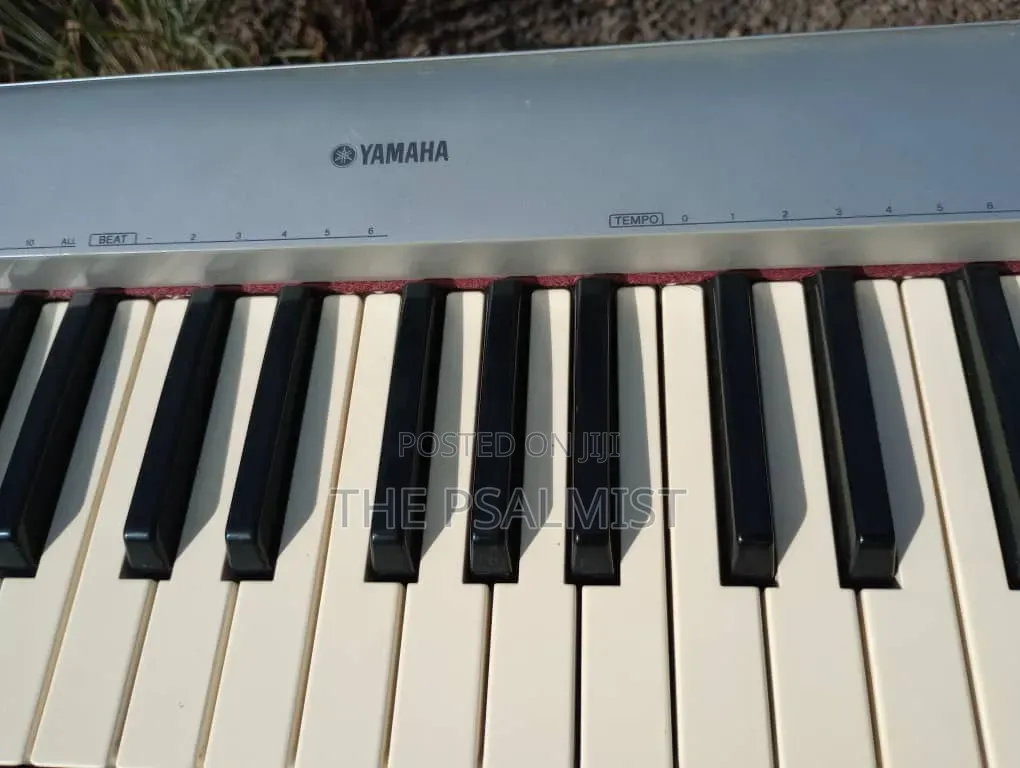Yamaha Portable Grand NP- 30 With an Adapter