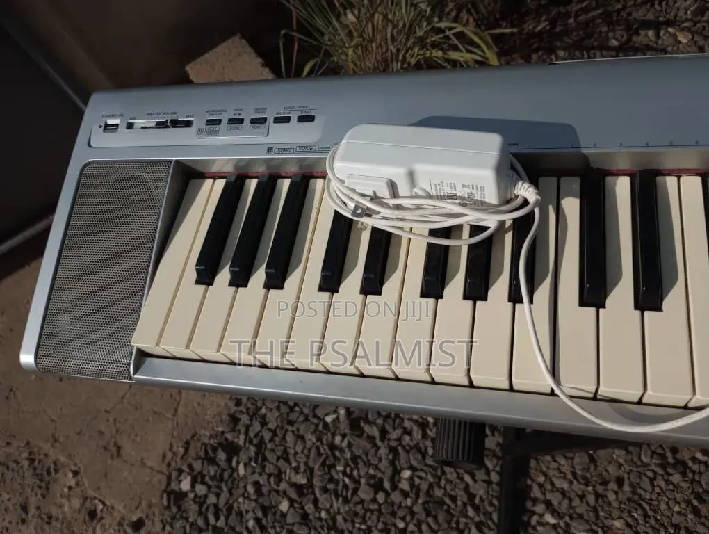 Yamaha Portable Grand NP- 30 With an Adapter