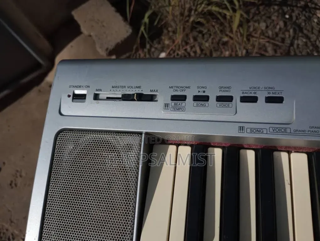 Yamaha Portable Grand NP- 30 With an Adapter
