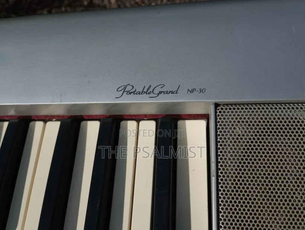 Yamaha Portable Grand NP- 30 With an Adapter